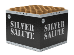 VOL KARTON Silver Salute (12 stuks)