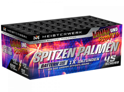 Spitzen Palmen 45 shots